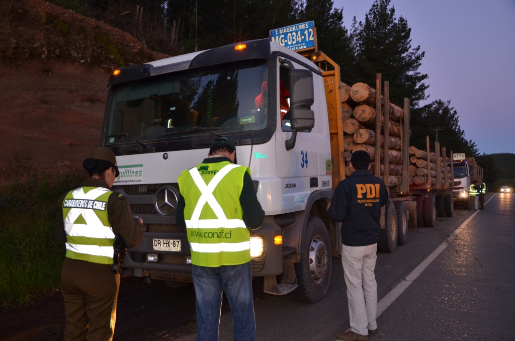 Fiscalización Carretera a Transportes Madereros en la Región