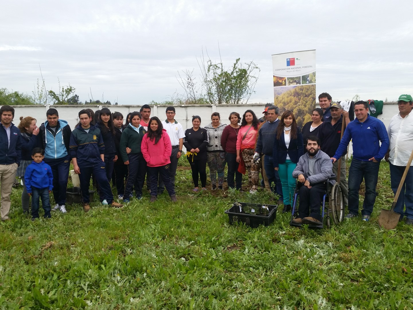 Jóvenes Longavianos participan en Jornada de Arborización