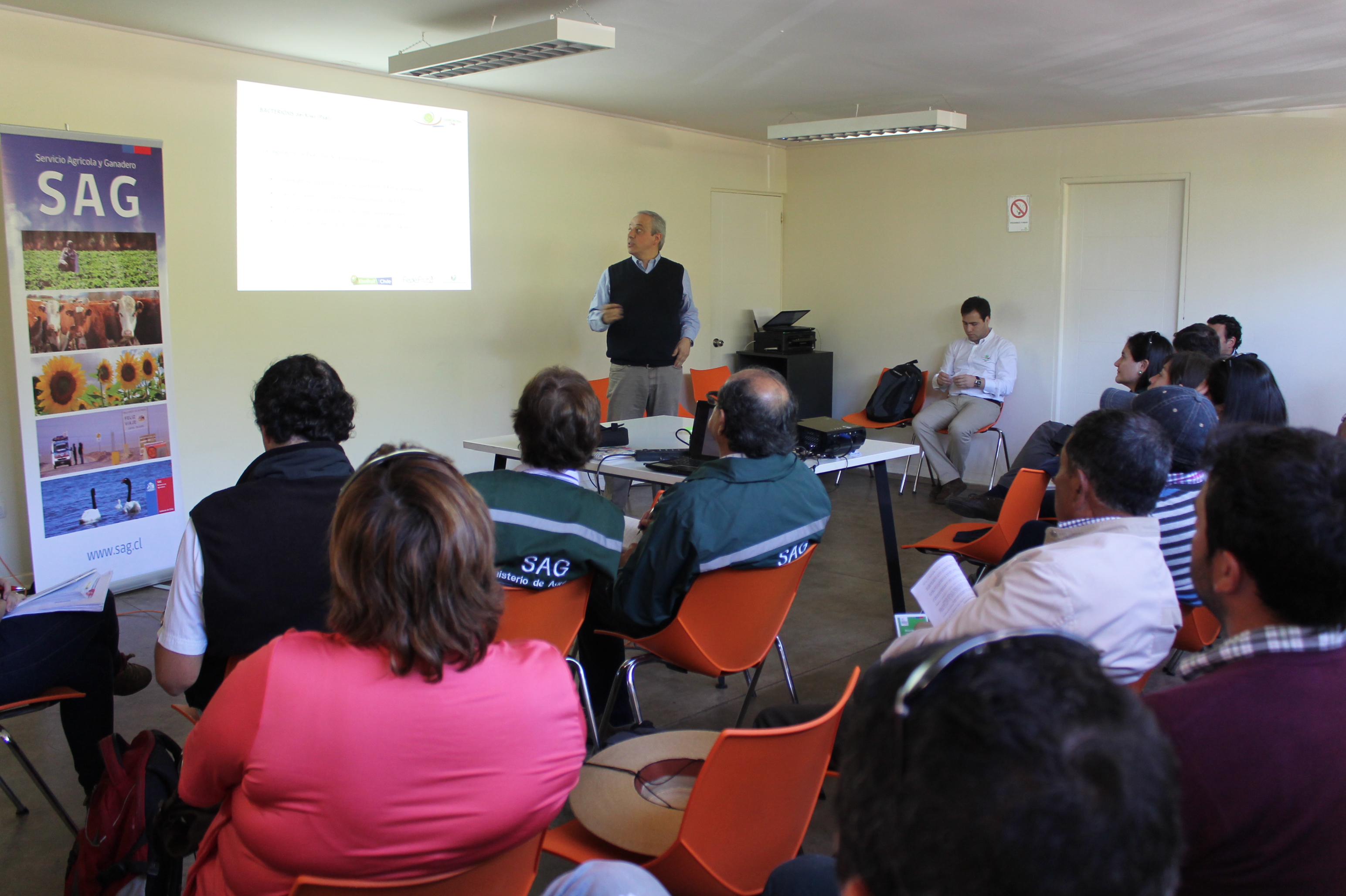 Comité del Kiwi y SAG del Maule, reúnen a productores para informar acerca de la PSA