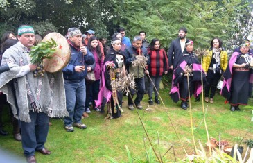 Buscan Líderes mapuches en el Maule