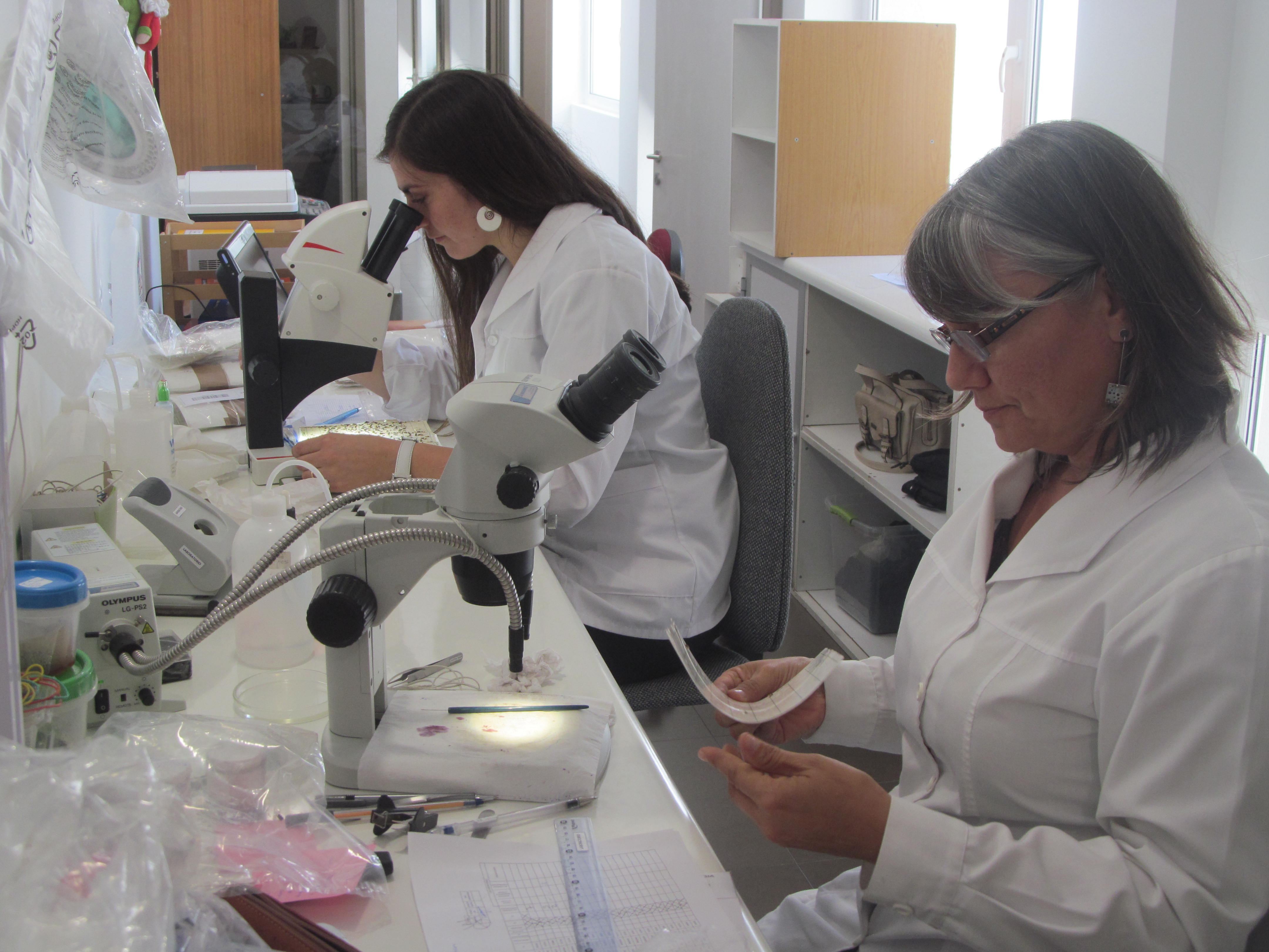 Abren nuevo laboratorio regional de Lobesia Botrana   