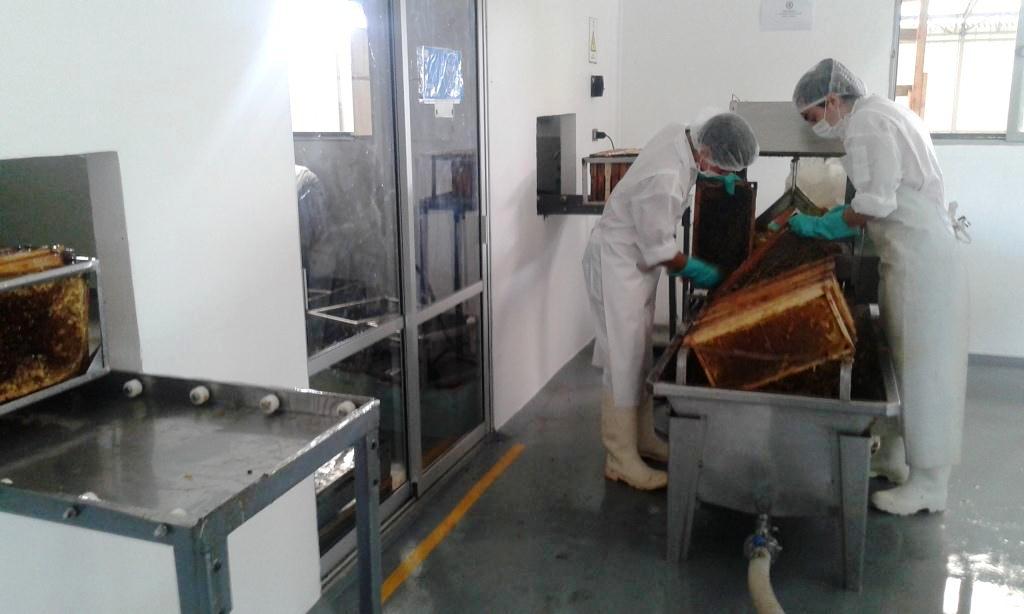 SAG inspecciona salas de extracción de miel a la  Unión Europea