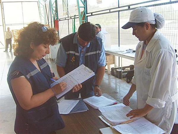 Arduo trabajo de fiscalización en inspección del trabajo