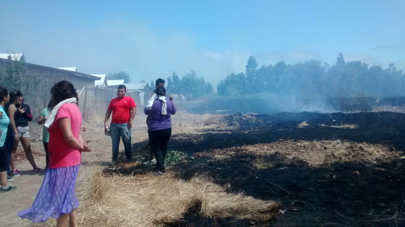 Fotos: Violento incendio de pastizales y matorrales, causó tensión entre pobladores de la Villa los Ángeles de  Maule.