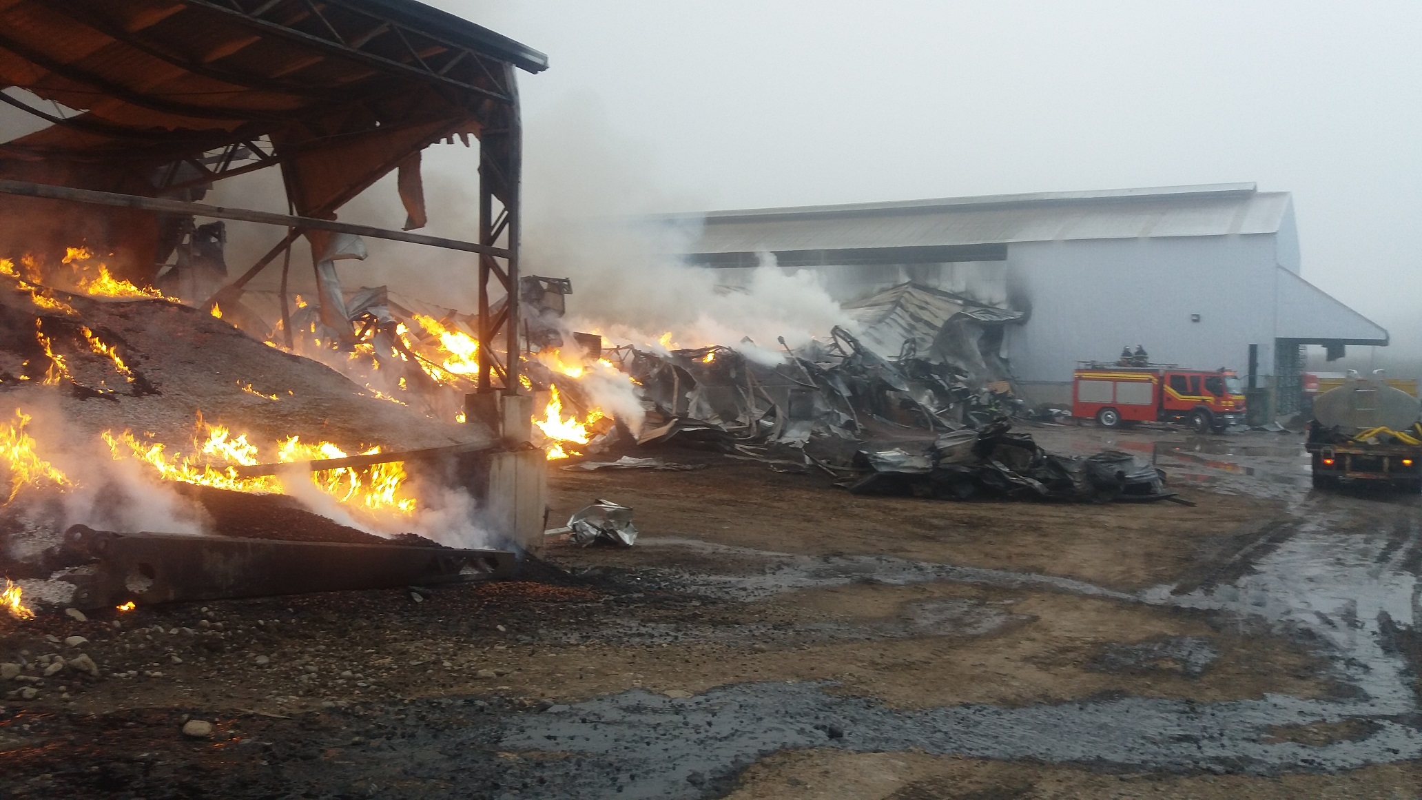 Sin control por falta de agua, se combate incendio que afecta a  empresa exportadora de Avellanas Agrichile en San Rafael