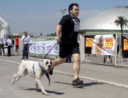 Regimiento de Talca desarrollará corrida con mascotas
