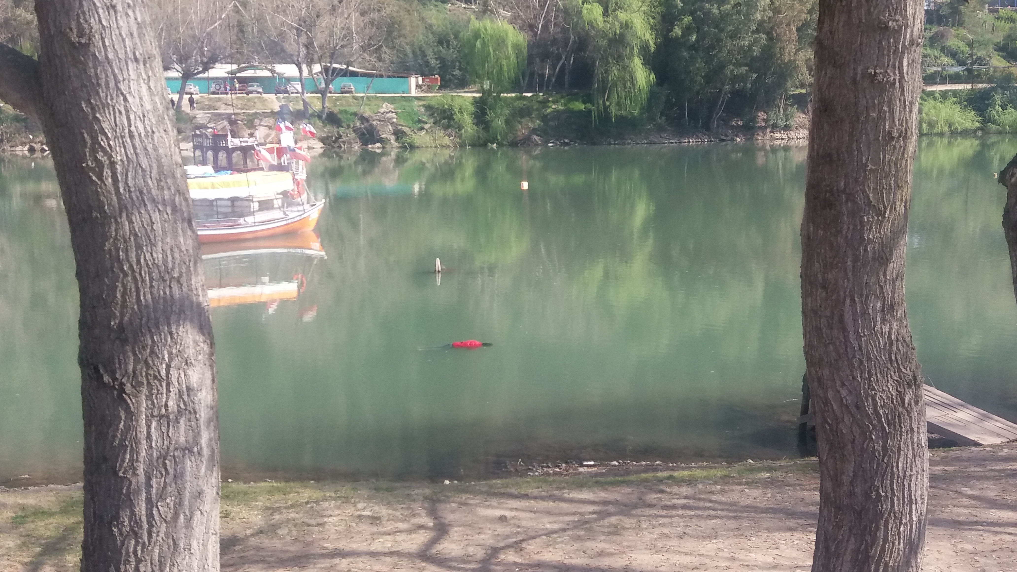 Anciana es encontrada muerta flotando en las aguas del Río Claro en Talca