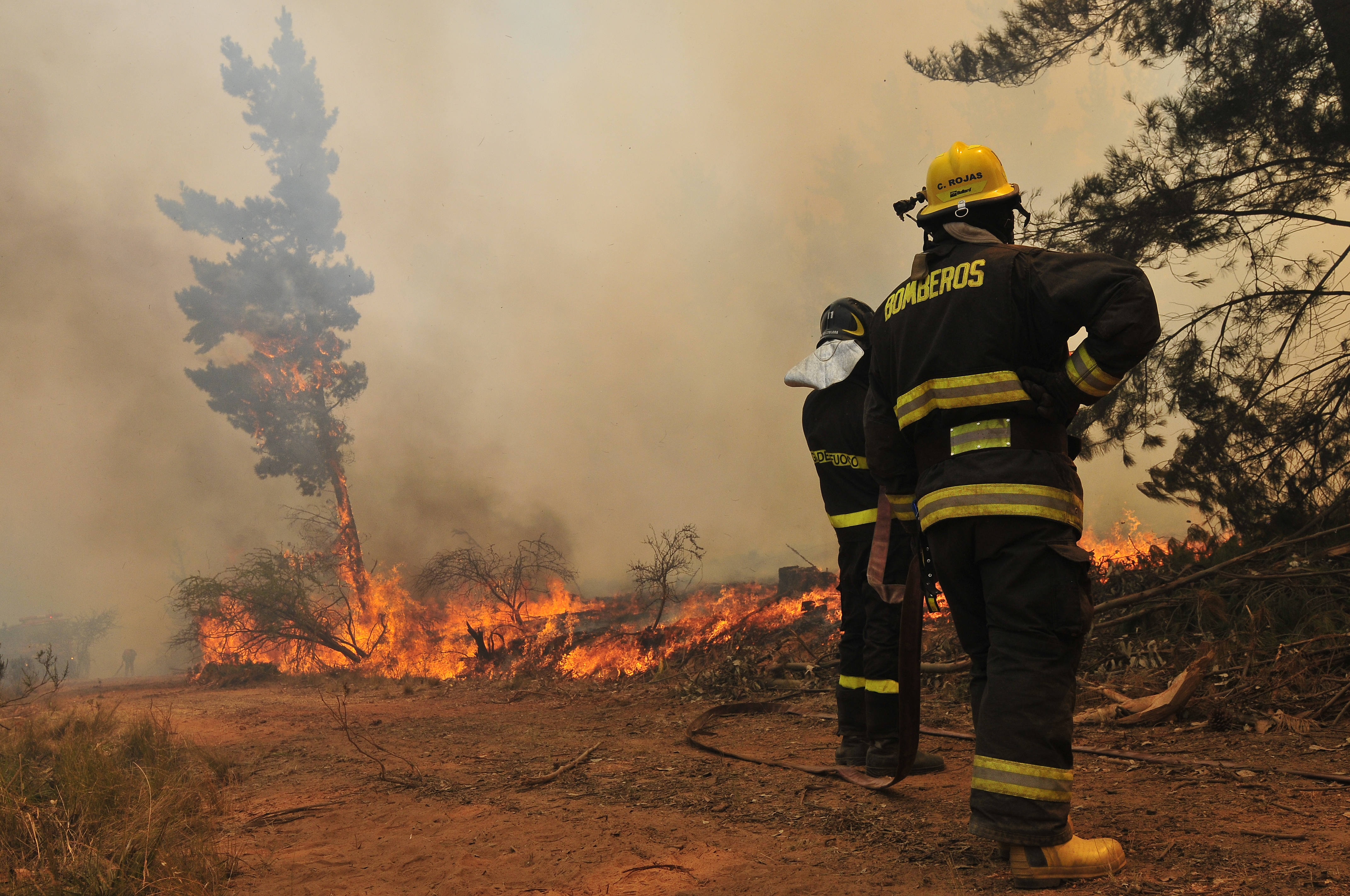 Declaran alerta amarilla comunal por incendio forestal en cajón de Pejerrey en Linares