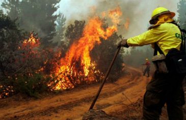 Alerta por incendios forestales entre Coquimbo y el Maule
