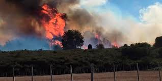 CORE inyecta recursos para proyecto de prevención de incendios forestales en el Maule