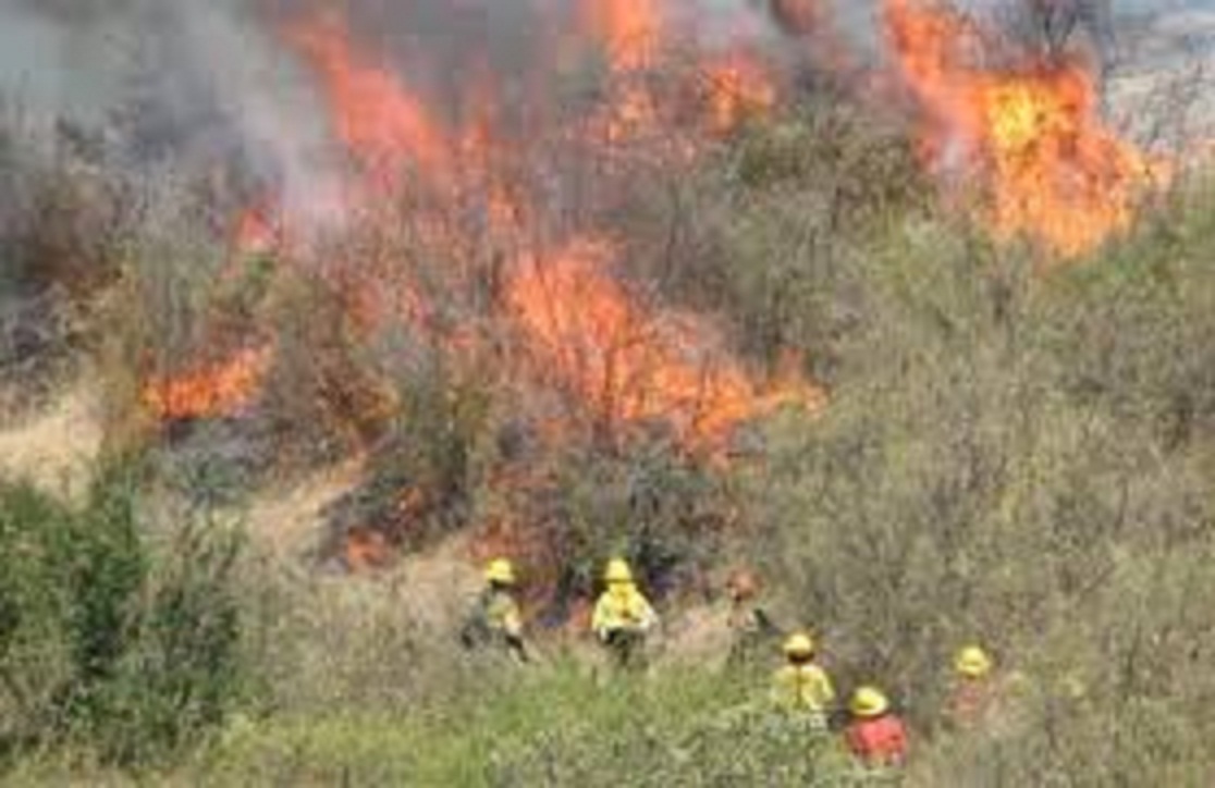 Ministerio Público: 216 causas en el Maule son por incendios forestales
