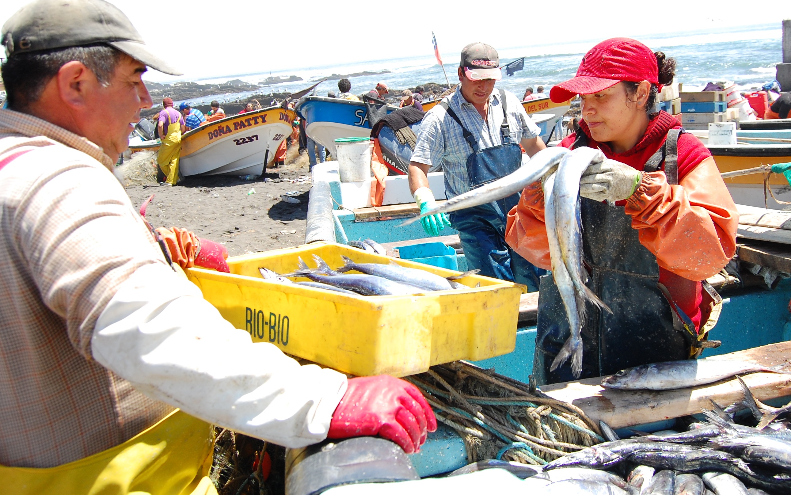 Postulaciones abiertas para Concurso Nacional “mujer pescadora emprende”