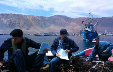 Sernapesca hace un llamado a los pescadores a actualizar sus datos en registro pesquero