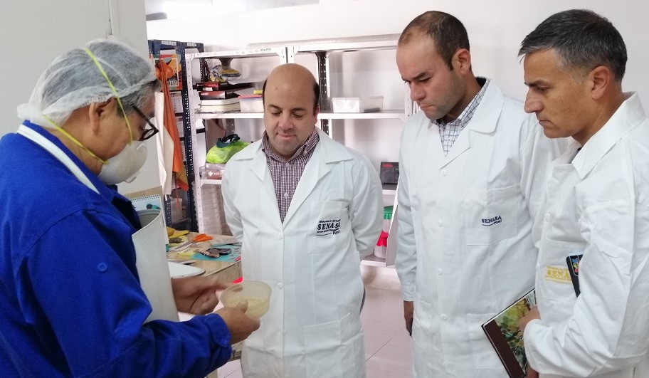 Profesores maulinos obtiene certificación internacional en control biológico de plagas