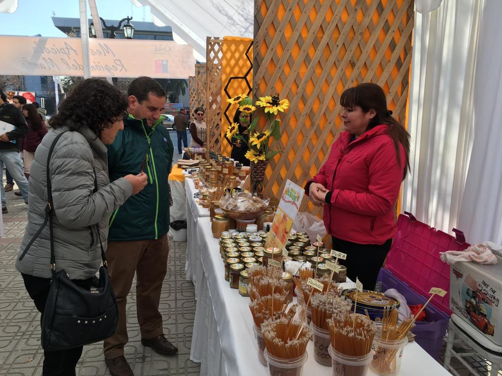 El Maule es la tercera región con mayor producción de miel en el país