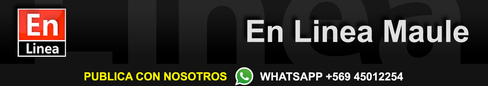 Whatsapp ya tiene dispoinible el servicio de videollamadas | En Línea Maule