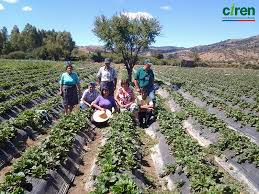 Minagri lanzó plan de acción rural para apoyar a los agricultores