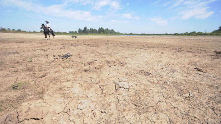 Municipio de San Javier solicita al gobierno decretar emergencia agrícola por déficit hídrico