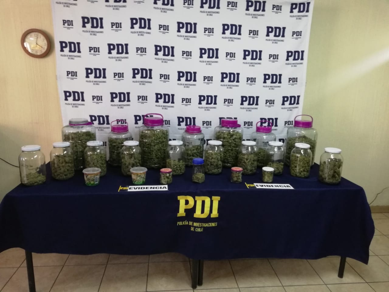 PDI Cauquenes detiene a traficante con  6 kilos 800 gramos de cannabis sativa