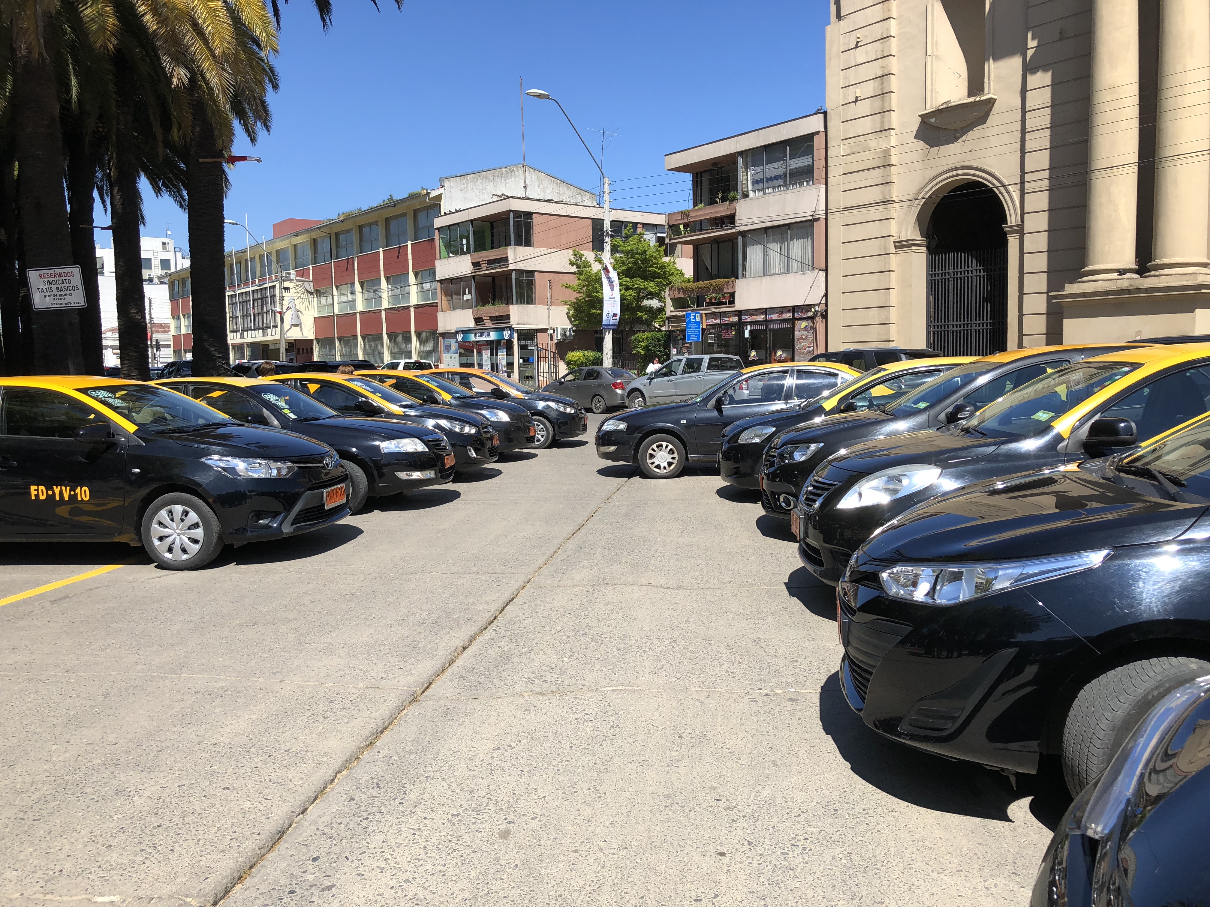 Curicó se adjudicó los primeros cupos de apertura de parque para taxis básicos