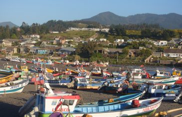 Microempresarios turísticos de la costa del Maule apuestan por la sustentabilidad del destino