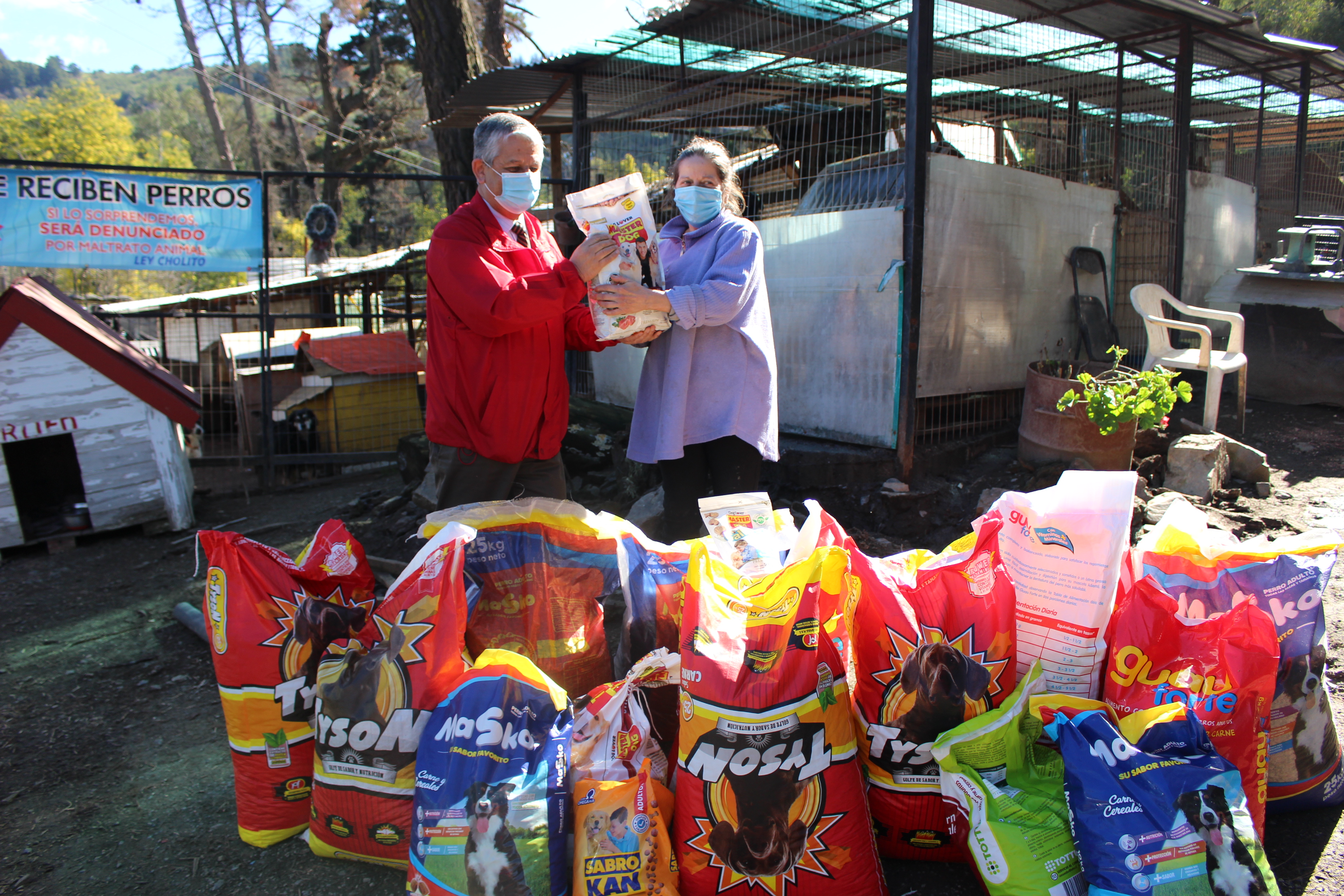 Servicio de Salud Maule donó 281 kilos de alimento a Refugio de perros Francisco de Asís.