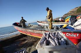 Hasta el 14 de agosto pescadores de la región podrán optar a fondo concursable por $400 millones.