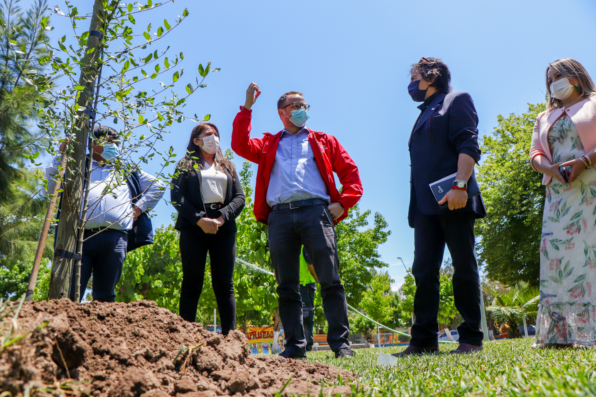 Inicia plantación de 100 árboles nativos en Sagrada Familia gracias  a proyecto social