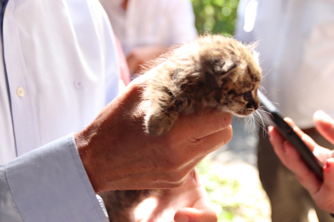 Solicitan apoyo para zoológico Casa Noé que arrastra una deuda de más de 100 millones de pesos