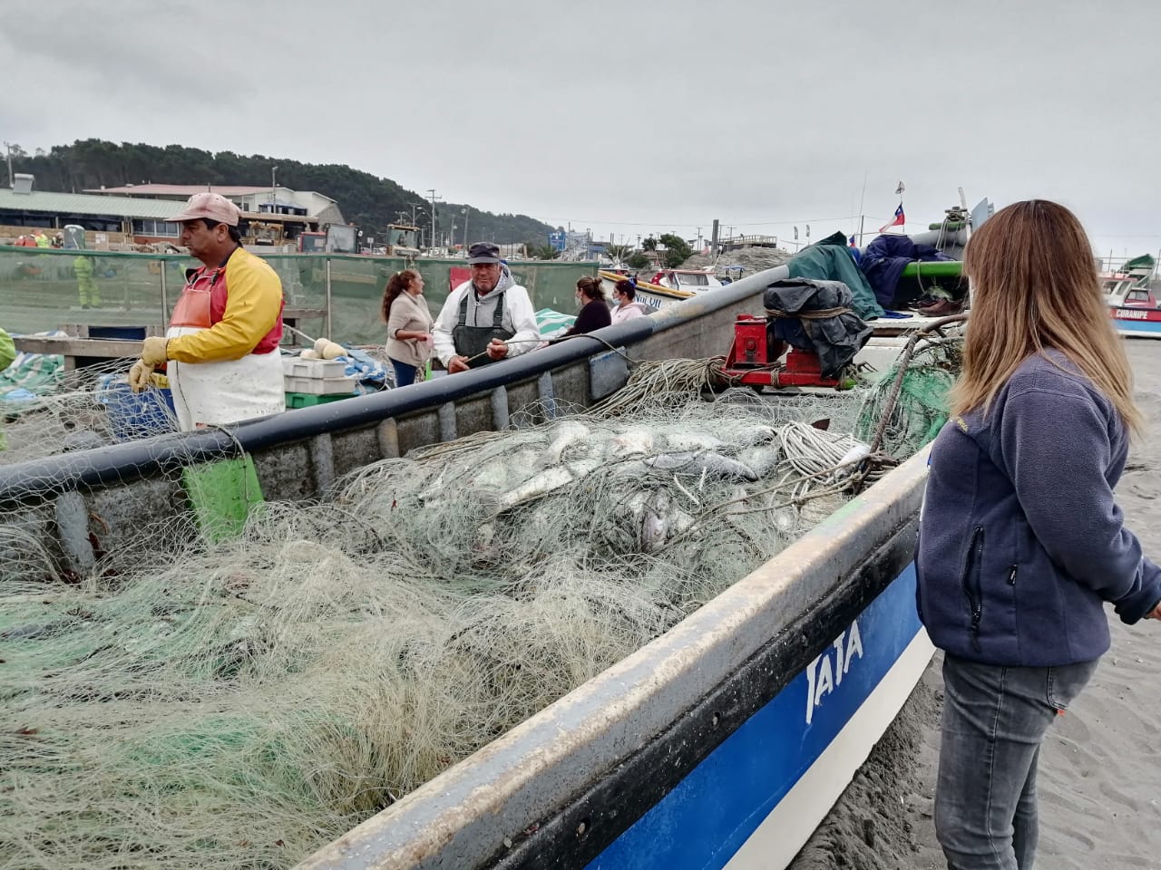 Sernapesca Maule invita a pescadores y pescadoras a promocionar sus recursos en el nuevo portal Caleta en Línea