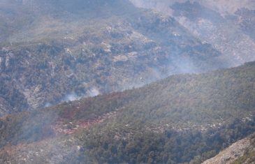 CONAF informó que durante la temporada 2021-2022 se han registrado 46 incendios forestales en el Maule. actualmente, no hay focos activos