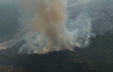 El Maule tiene dos incendios forestales en combate, uno controlado y cinco extinguidos. Además, el MINAGRI llamó a la “actividad cero” en el sector agrícola por temperaturas extremas en la zona centro sur
