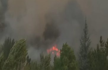 Gobierno llama a denunciar al *4242 la provocación de incendios forestales