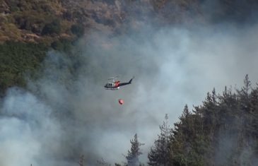 Más de 10 mil hectáreas consumidas por incendios forestales y no hay lesionados ni heridos en la región del Maule