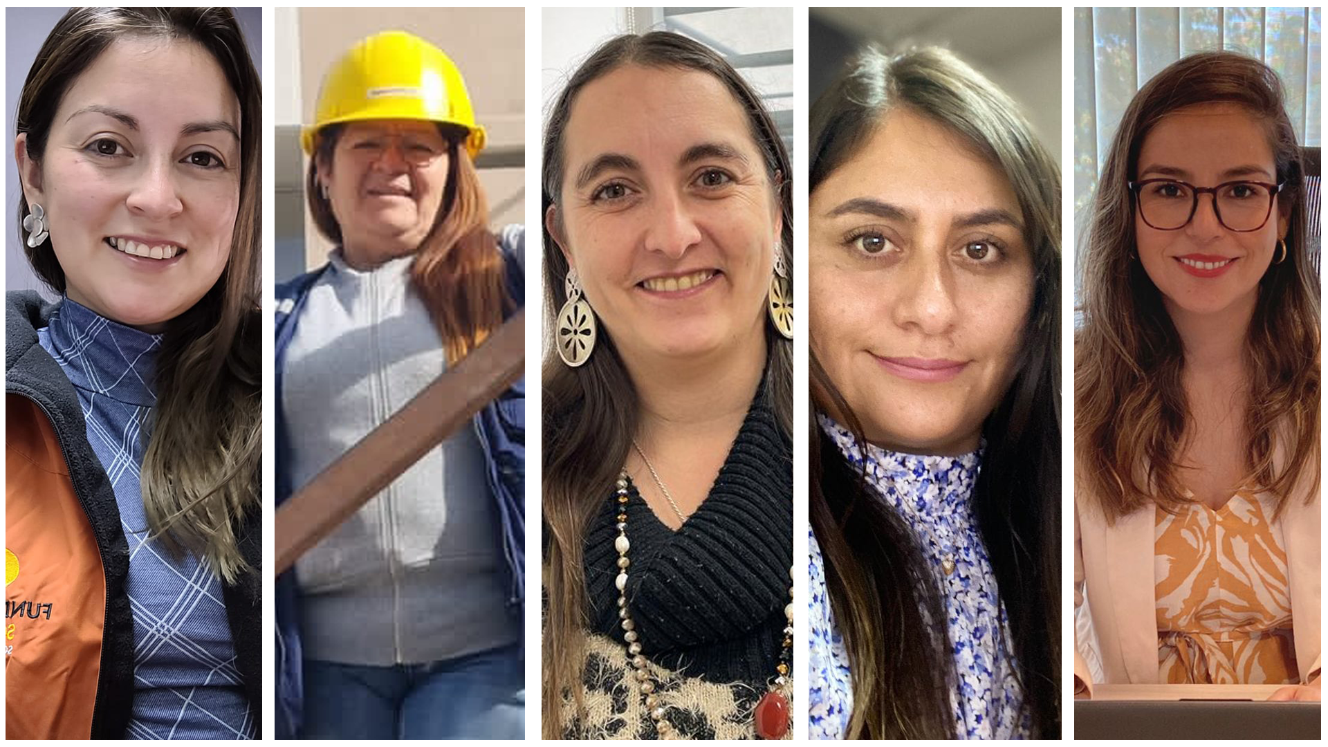 Las mujeres se toman la construcción en el Maule