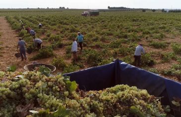 Oficina agrícola municipal entregó maquinaria e insumos a  agricultores no Indap de San Javier