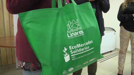 En Linares el EcoMercado de Fosis ha entregado más de 5 kilos de alimentos, de manera gratuita