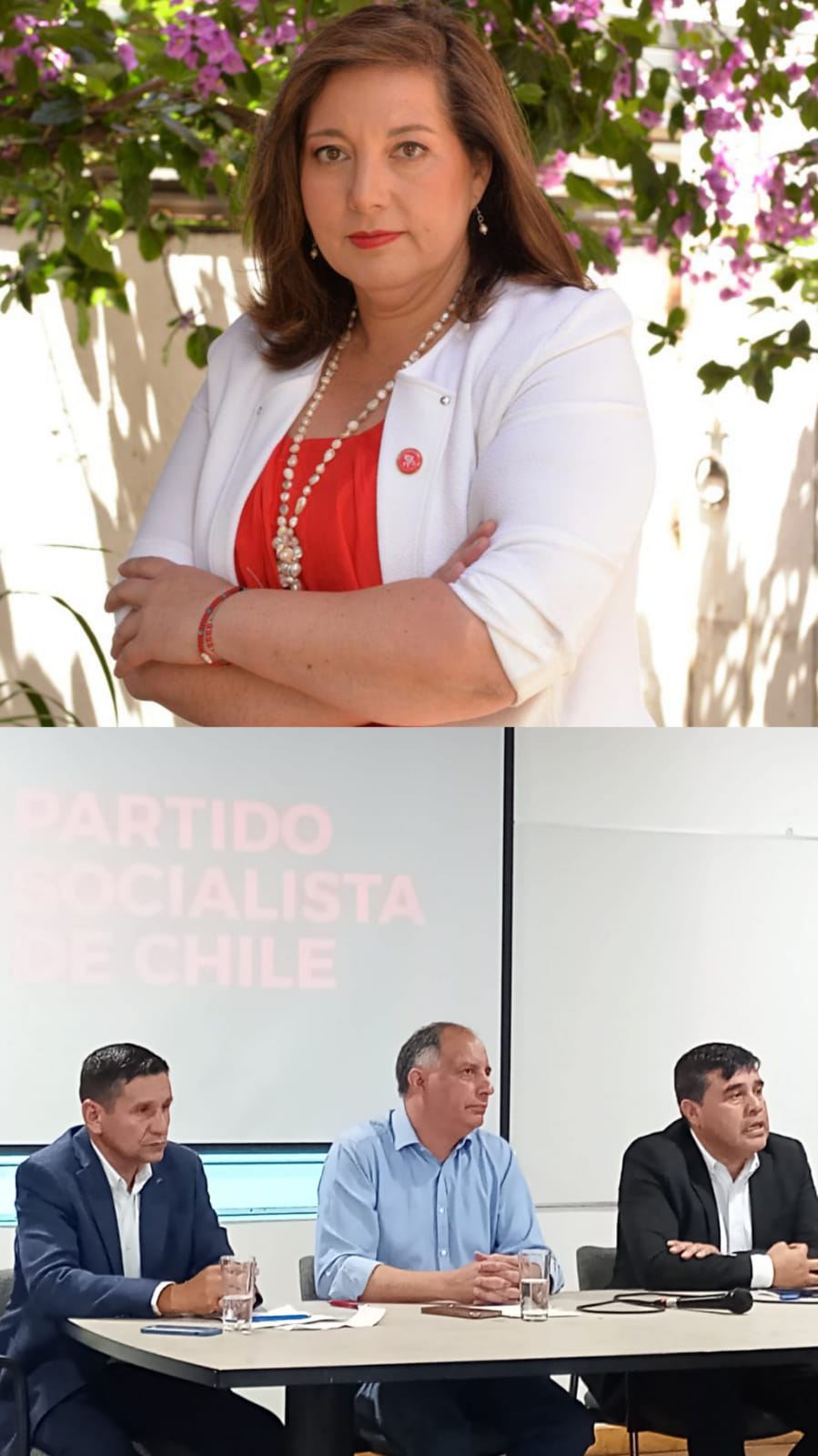 Michael Concha y Patricio Fuentes: Senadora Vodanovic resaltó vinculación social de los precandidatos a alcaldes de Linares y Longaví