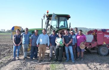 Agricultores trabajan con nueva tecnología que permite automatizar la preparación de suelo y siembra en el Maule