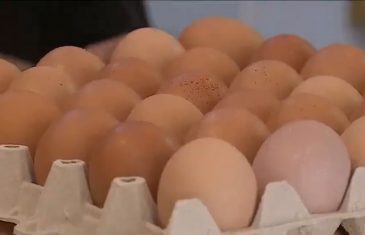 Alzas en el precio del huevo permanecerá hasta septiembre