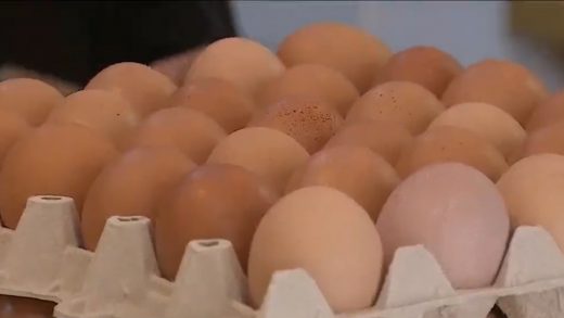 Alzas en el precio del huevo permanecerá hasta septiembre