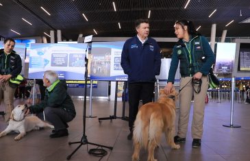 SAG anunció que certificados para viajar con mascotas fuera de Chile se puede obtener de manera digital