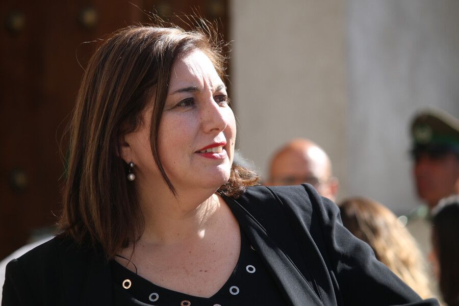 Senadora Vodanovic llamó a las generadoras eléctricas a estar “a la altura” ante nueva ola de frío y vientos