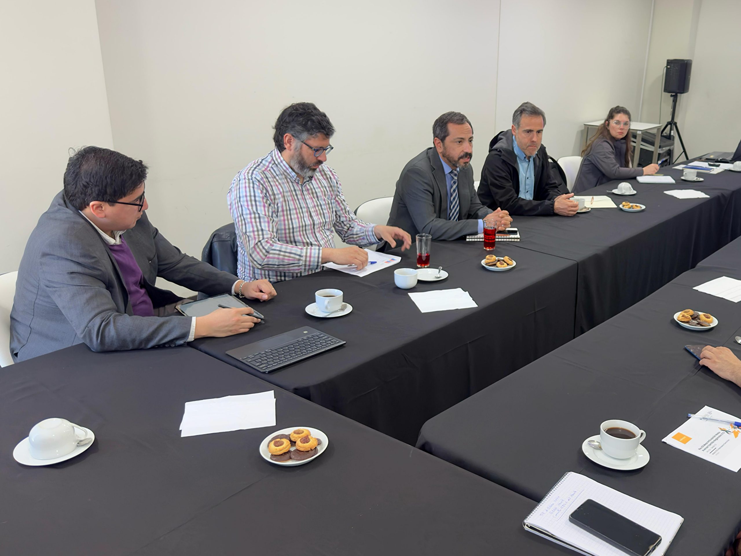 Seremi Hernán Astaburuaga participa por primera vez en el Comité Regional CTCI para el Desarrollo Región del Maule