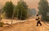 Fiscalía da a conocer alcances de investigaciones por incendios forestales en COGRID en Linares