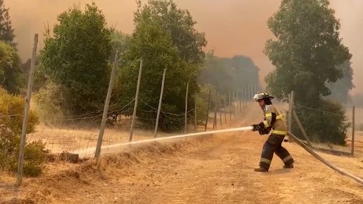 Fiscalía da a conocer alcances de investigaciones por incendios forestales en COGRID en Linares