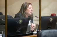 Senadora Vodanovic confirmó Decreto de Emergencia Energético para garantizar suministro eléctrico en el Maule