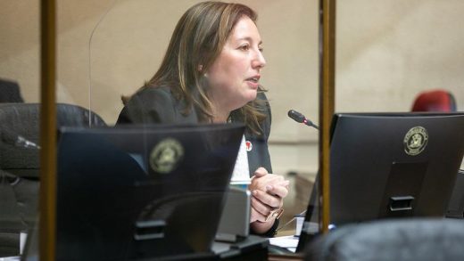 Senadora Vodanovic confirmó Decreto de Emergencia Energético para garantizar suministro eléctrico en el Maule