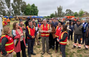 Senadora Vodanovic llamó a la ciudadanía a acatar órdenes de evacuación de la autoridad tras incendio forestal en San Javier