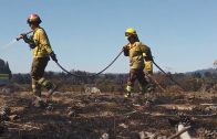 Destacan labor de Bomberos, Carabineros y CONAF en los incendios forestales